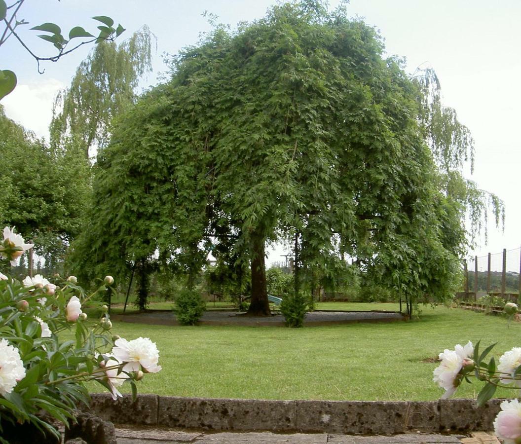 Les Jardins De L'Ile Apartment Longeville-les-Metz ภายนอก รูปภาพ